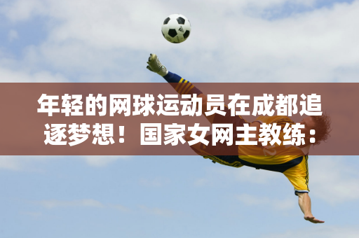 再次在法甲