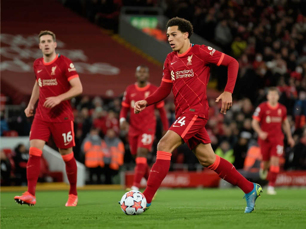 他的加入不 他的加入不