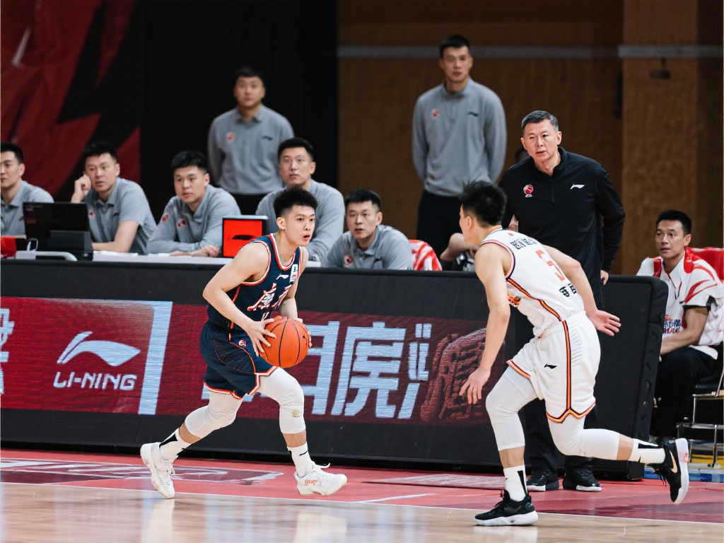 单的投篮效 单的投篮效