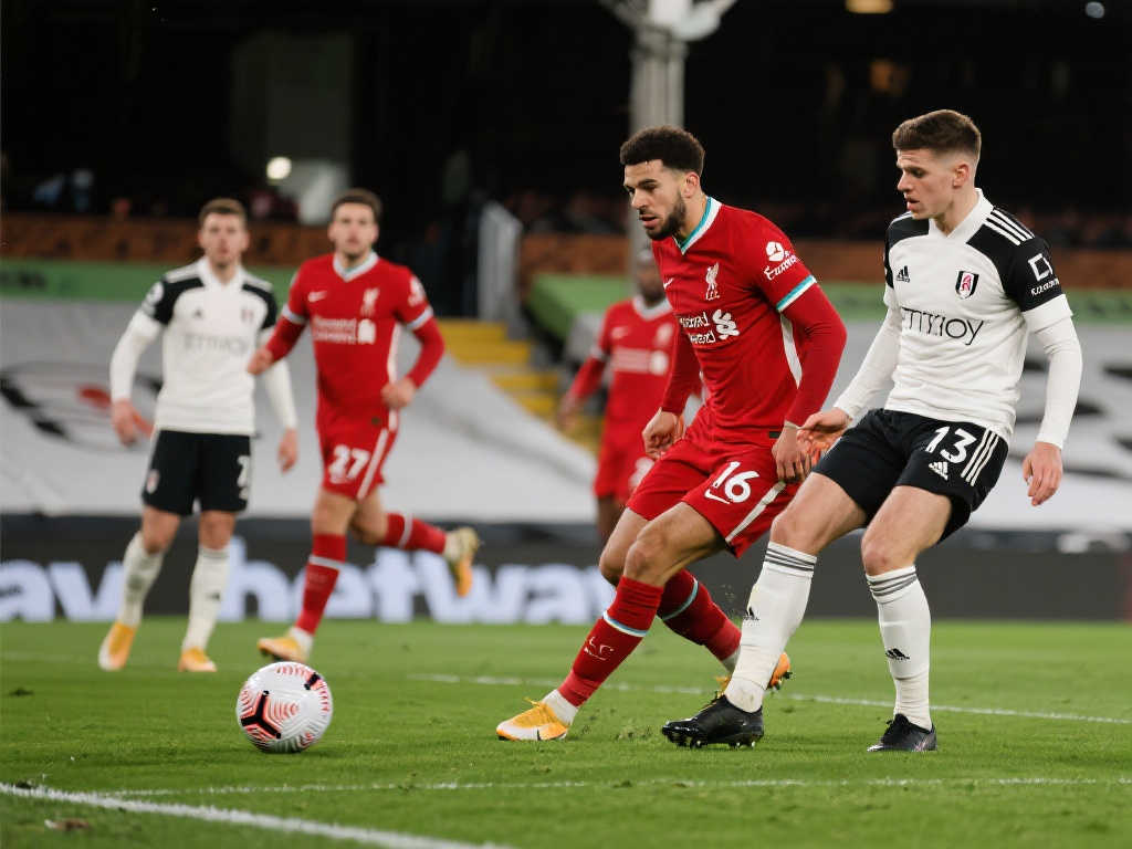 种对比赛整 种对比赛整